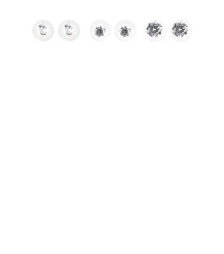 3 Pack Crystal Stud Earrings | New Look