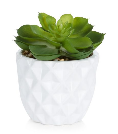 White Artificial Lotus Plant Pot | New Look