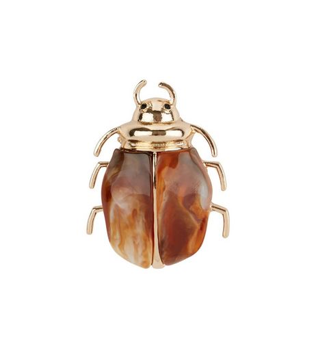 Brown Bug Brooch | New Look