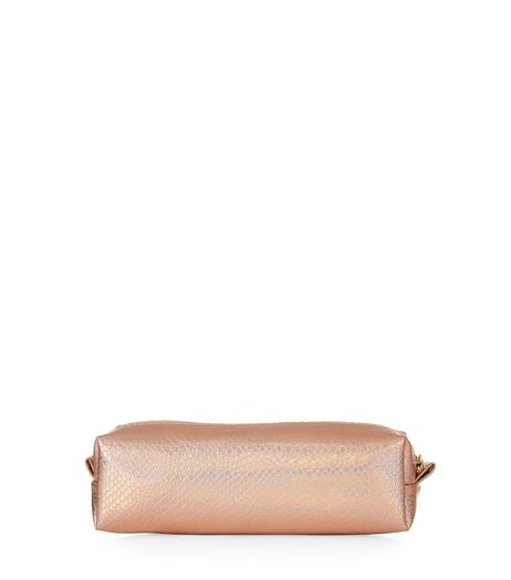 Shell Pink Snakeskin Texture Holographic Pencil Case | New Look
