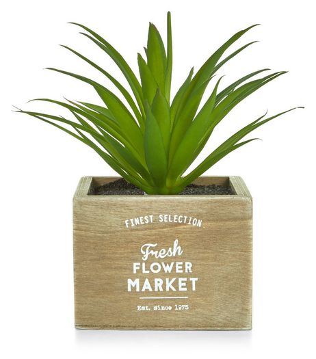 Artifical Fresh Flower Market Wooden Spikey Plant | New Look
