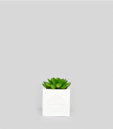 White Mini Cube Artificial Succulent Plant | New Look