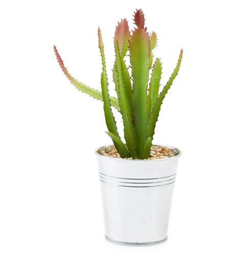 Green Artificial Cactus Plant Pot | New Look